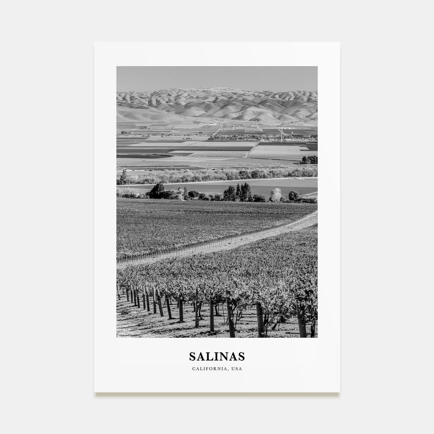 Salinas Portrait B&W Poster