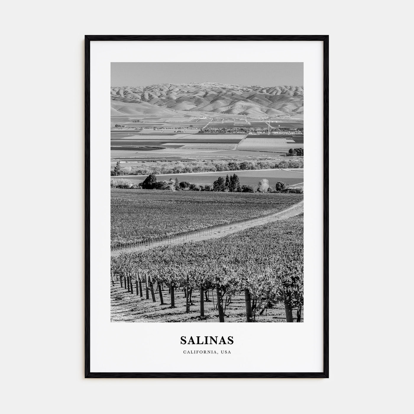 Salinas Portrait B&W Poster