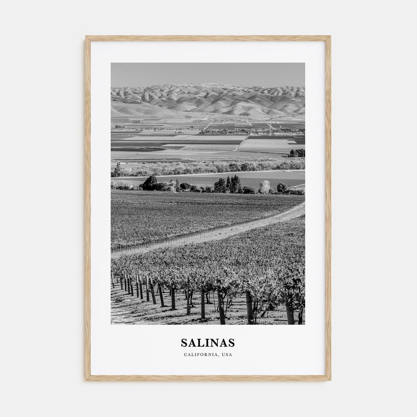 Salinas Portrait B&W Poster