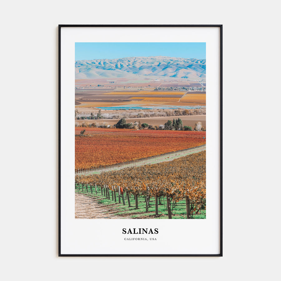 Salinas Portrait Color Poster