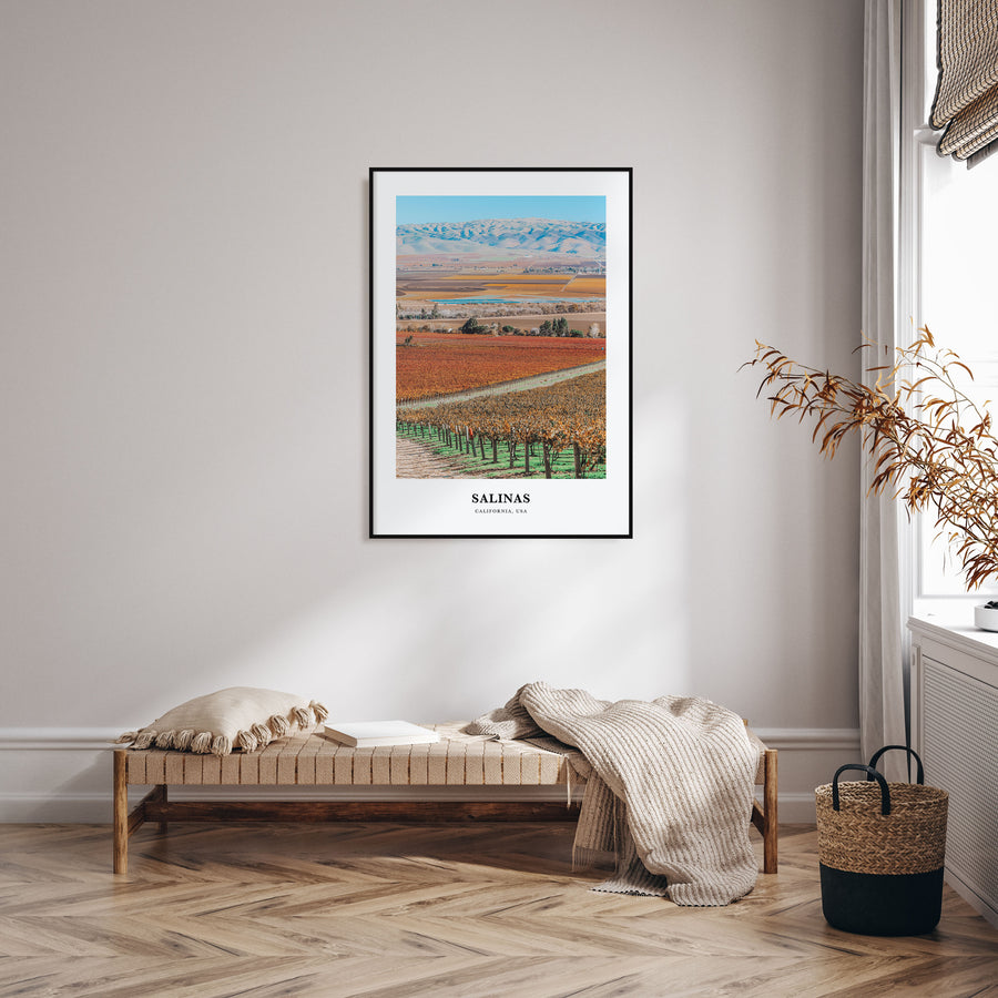 Salinas Portrait Color Poster