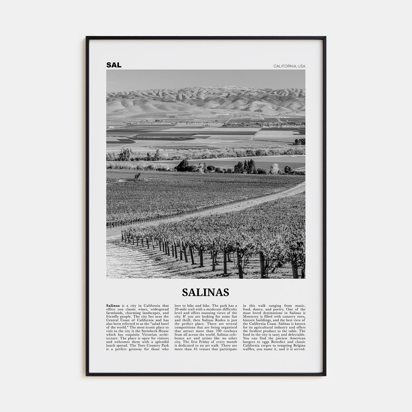 Salinas Travel B&W Poster