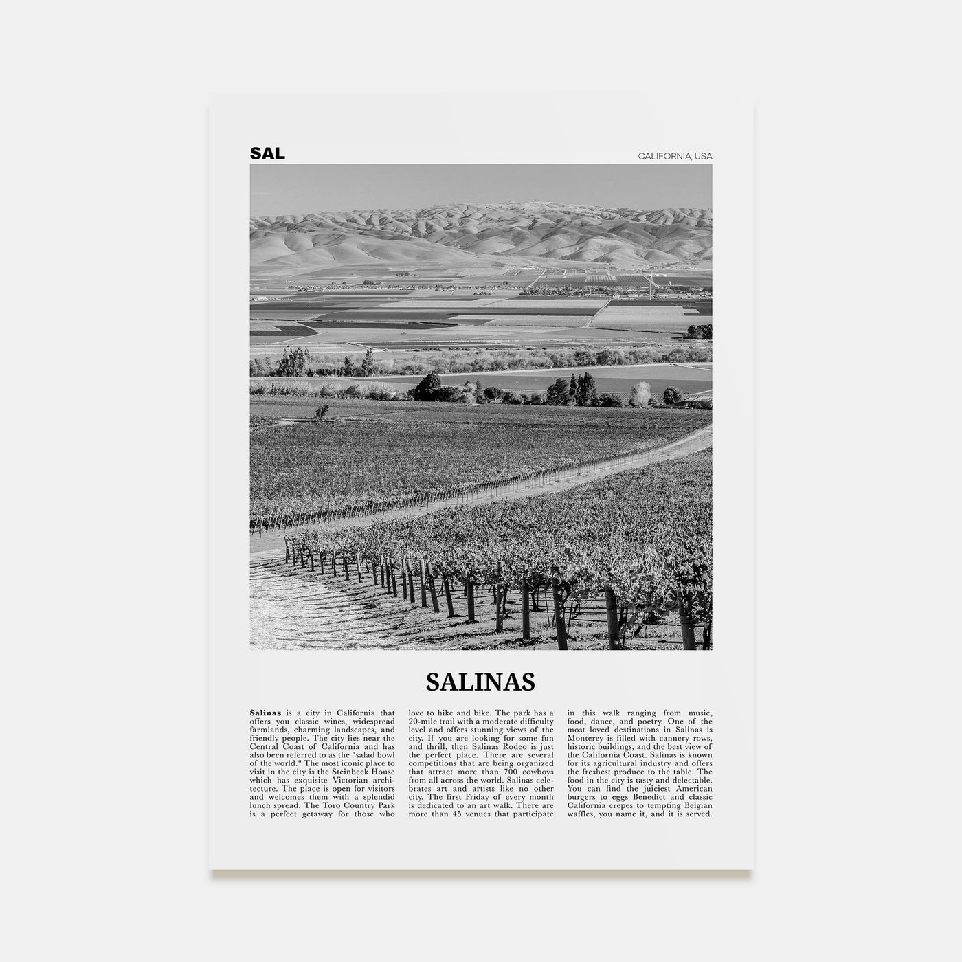 Salinas Travel B&W Poster