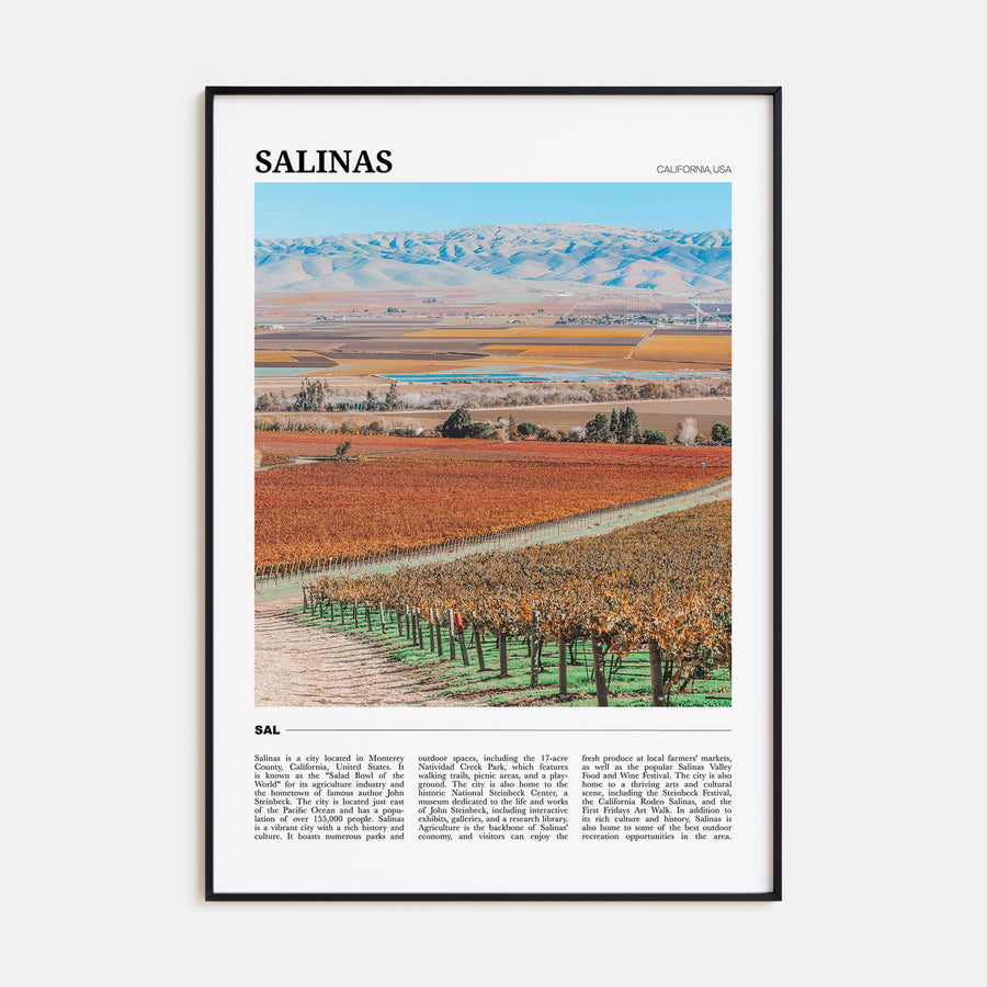 Salinas Travel Color Poster
