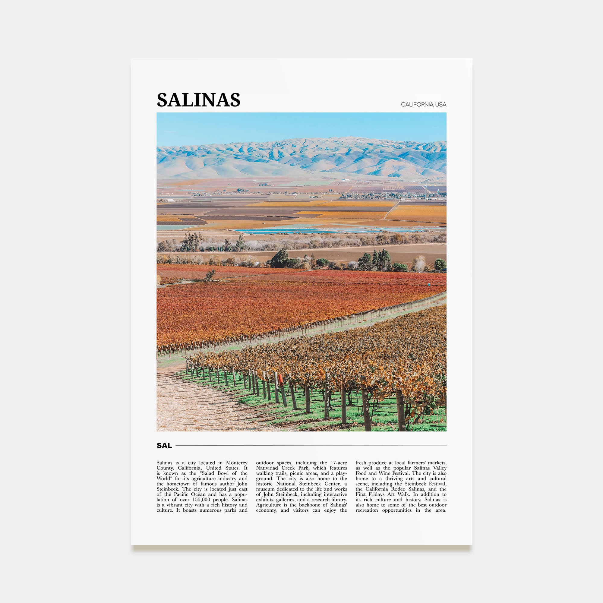 Salinas Travel Color Poster