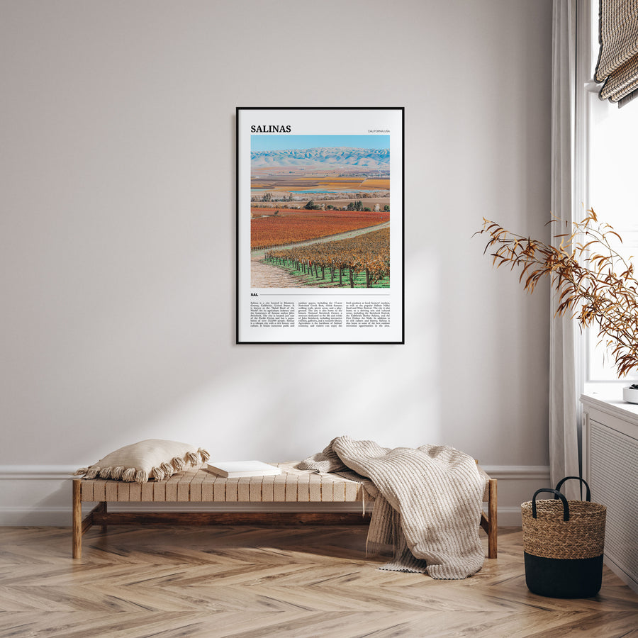 Salinas Travel Color Poster