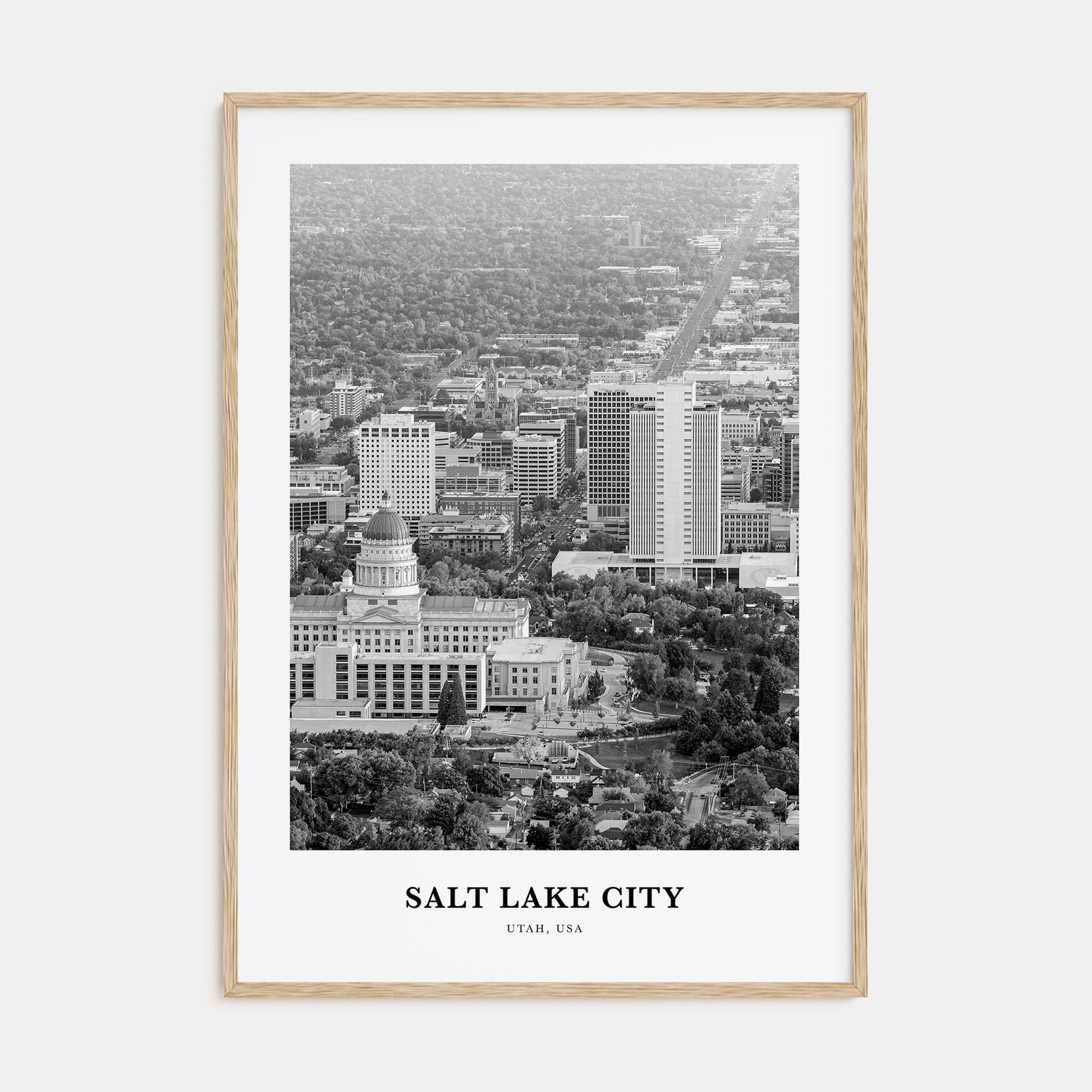 Salt Lake City Portrait B&W No 1 Poster
