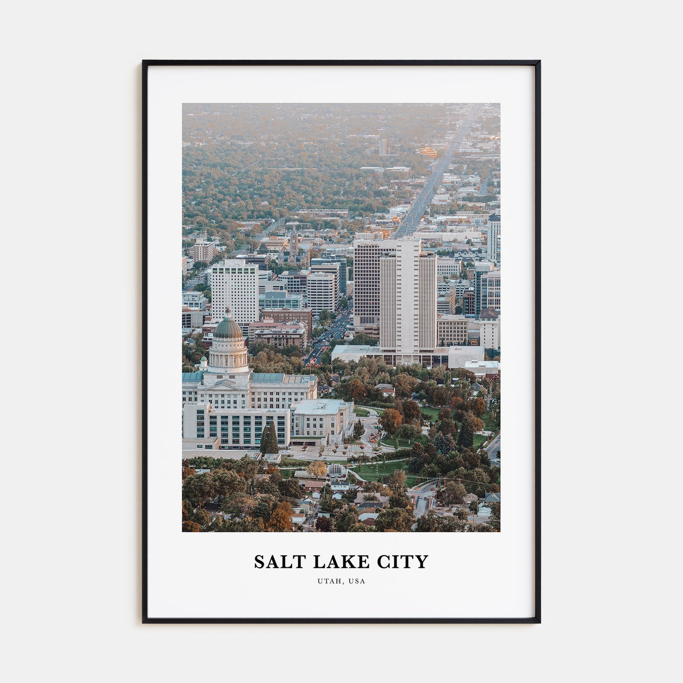 Salt Lake City Portrait Color Poster