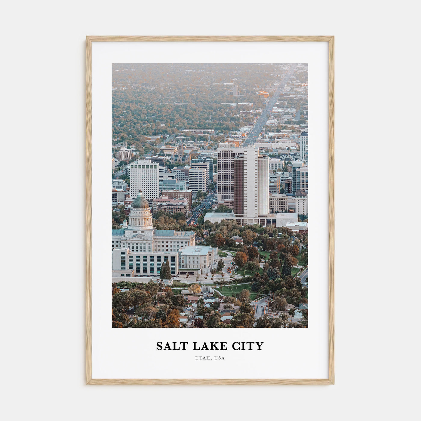 Salt Lake City Portrait Color Poster