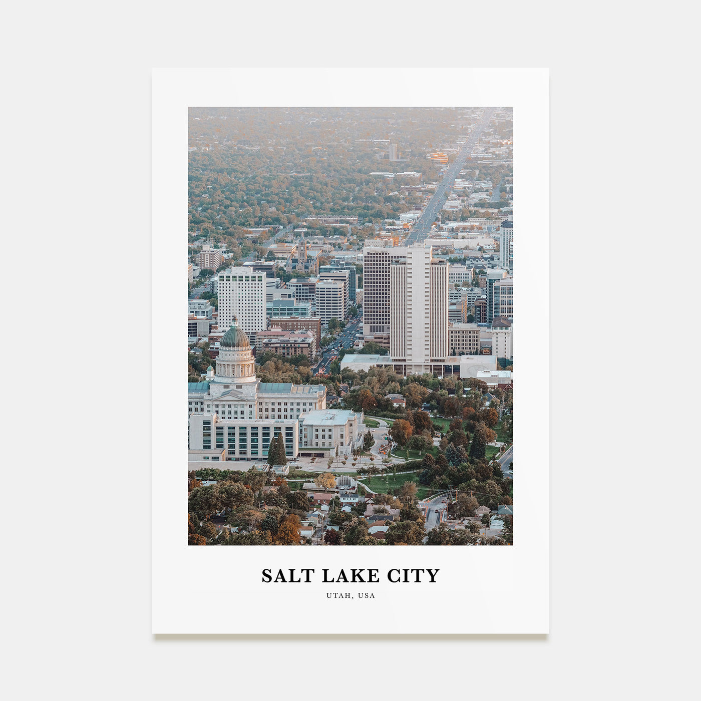 Salt Lake City Portrait Color Poster