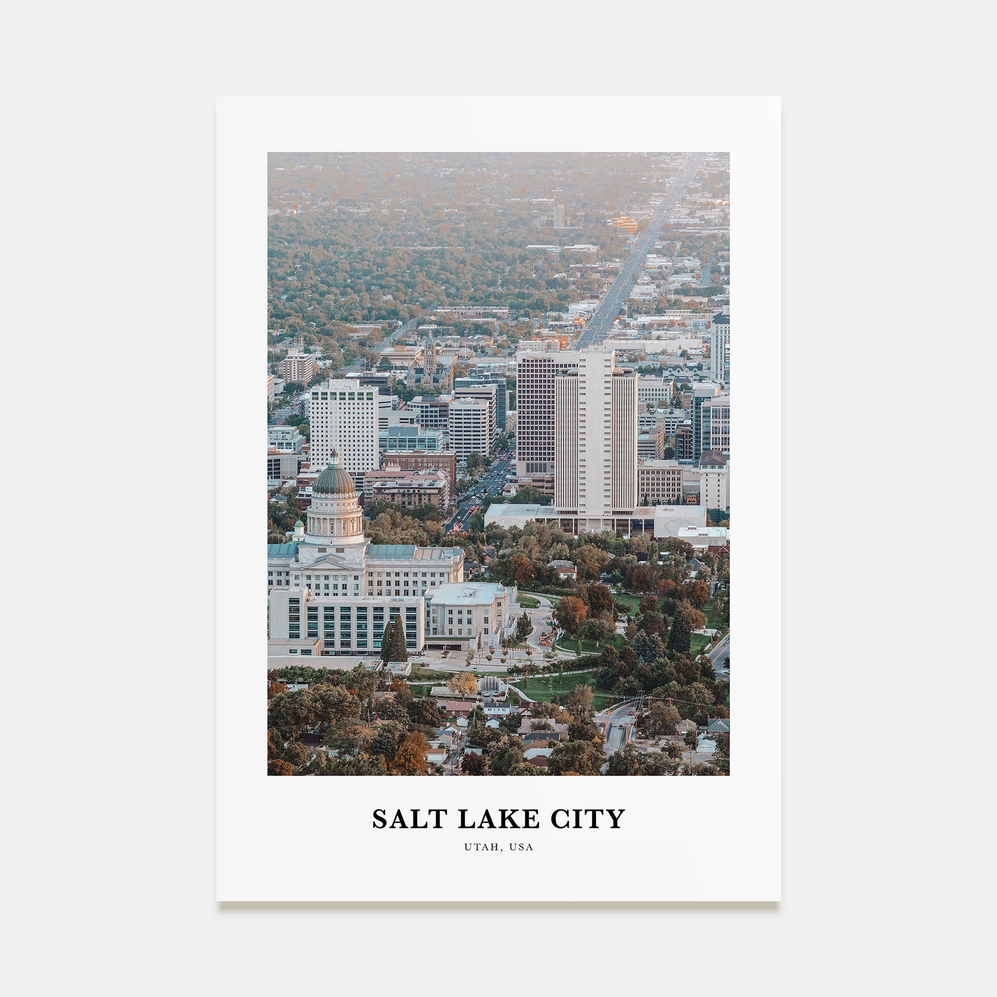 Salt Lake City Portrait Color Poster