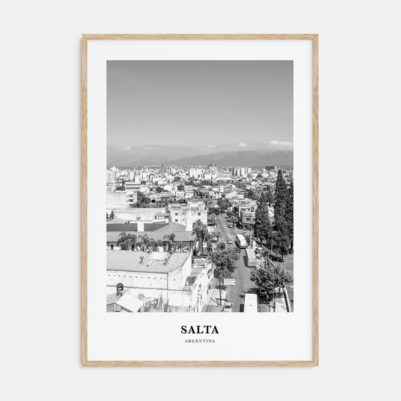 Salta Portrait B&W Poster