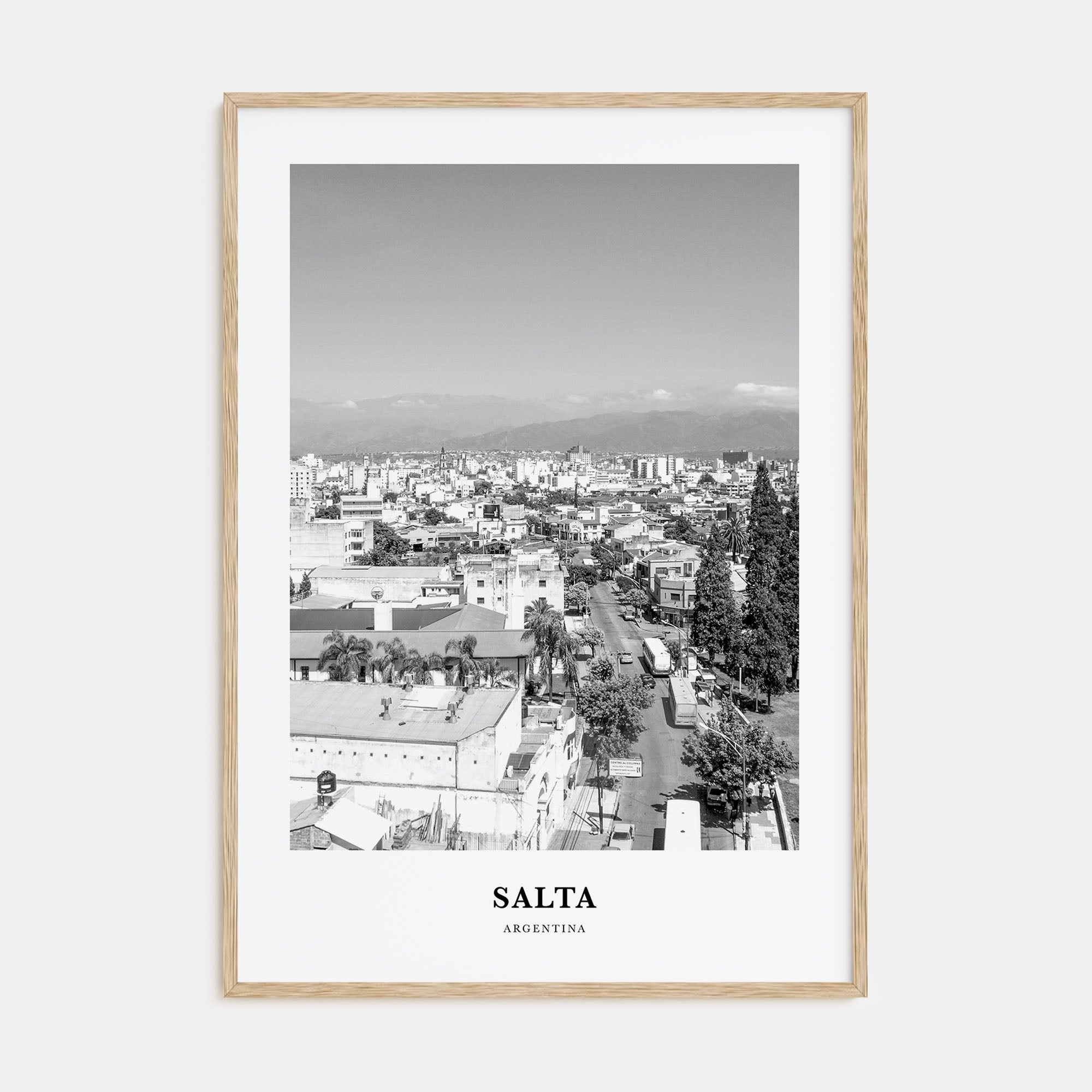 Salta Portrait B&W Poster