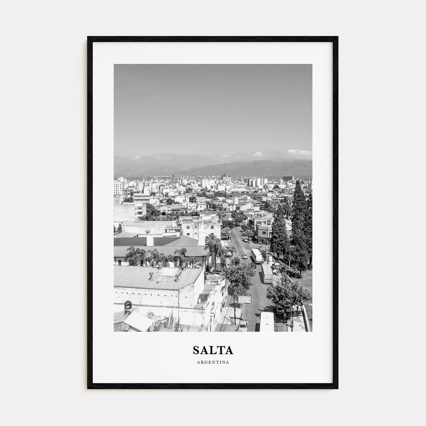 Salta Portrait B&W Poster