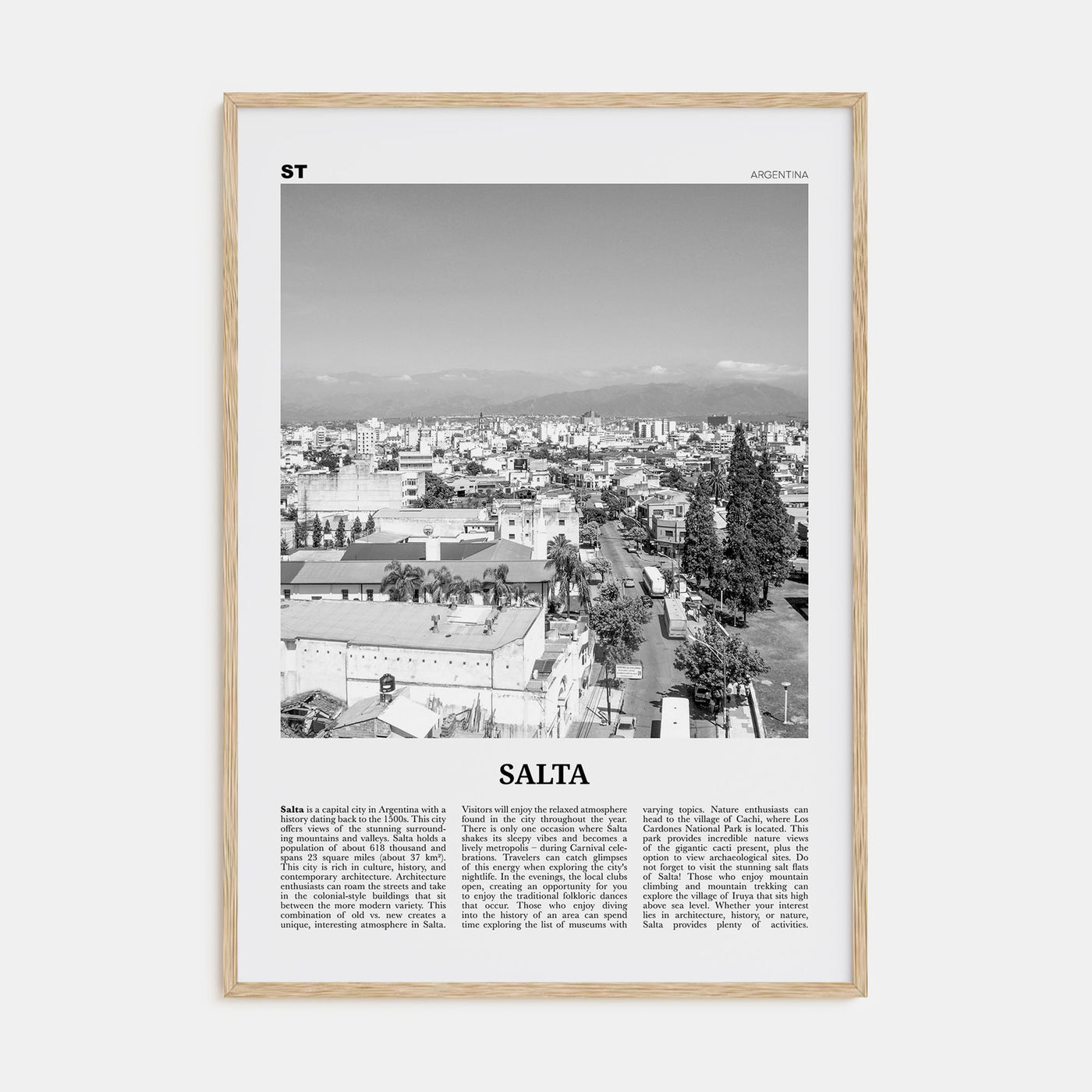 Salta Travel B&W Poster