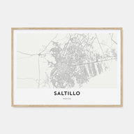 Saltillo Map Landscape Poster