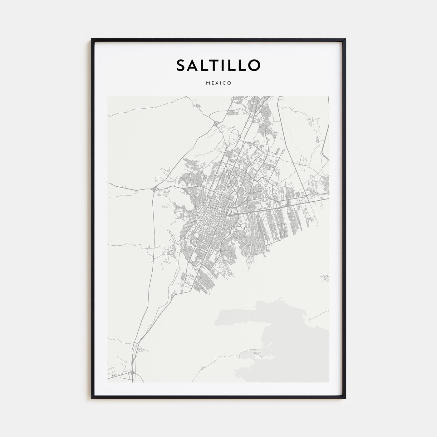Saltillo Map Portrait Poster