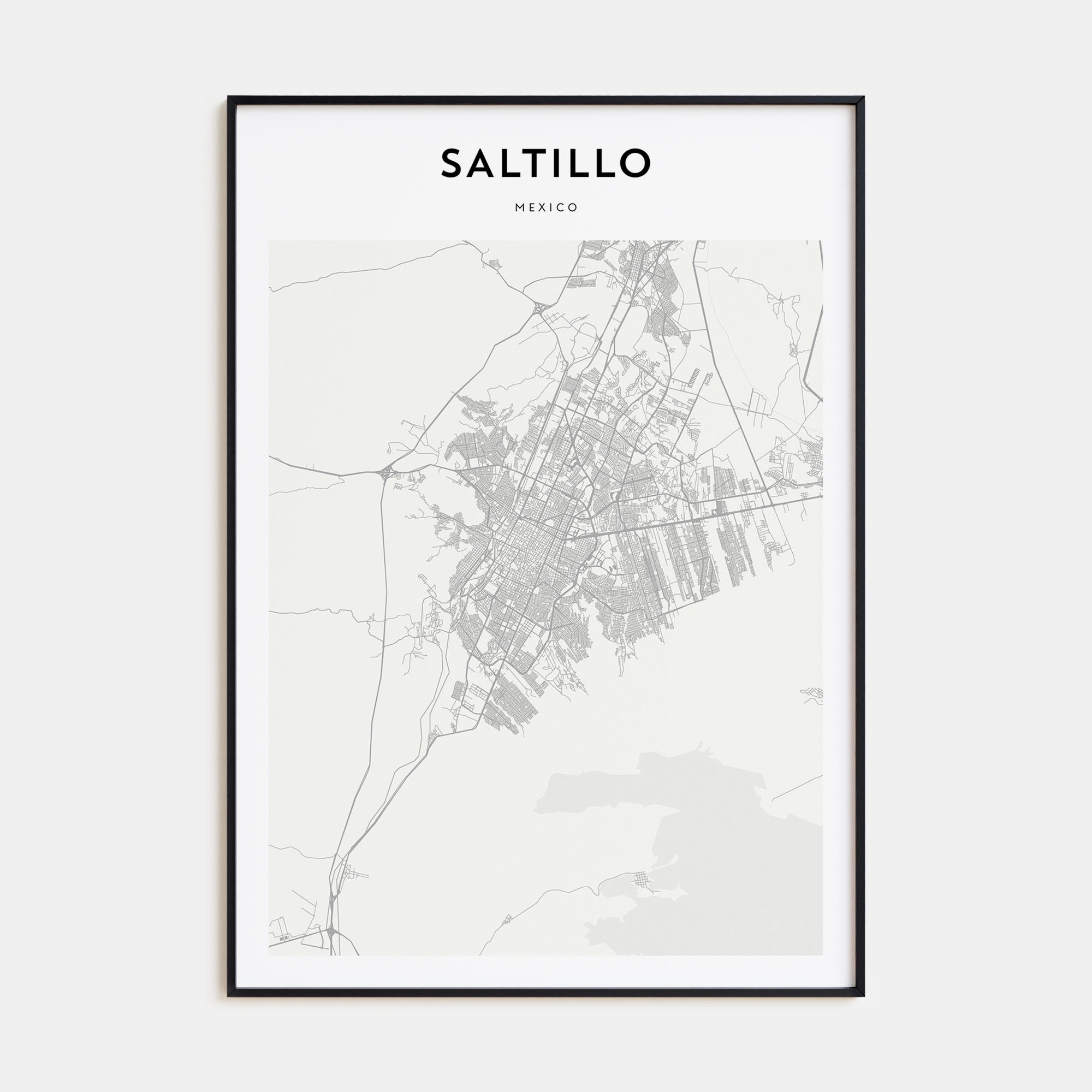 Saltillo Map Portrait Poster
