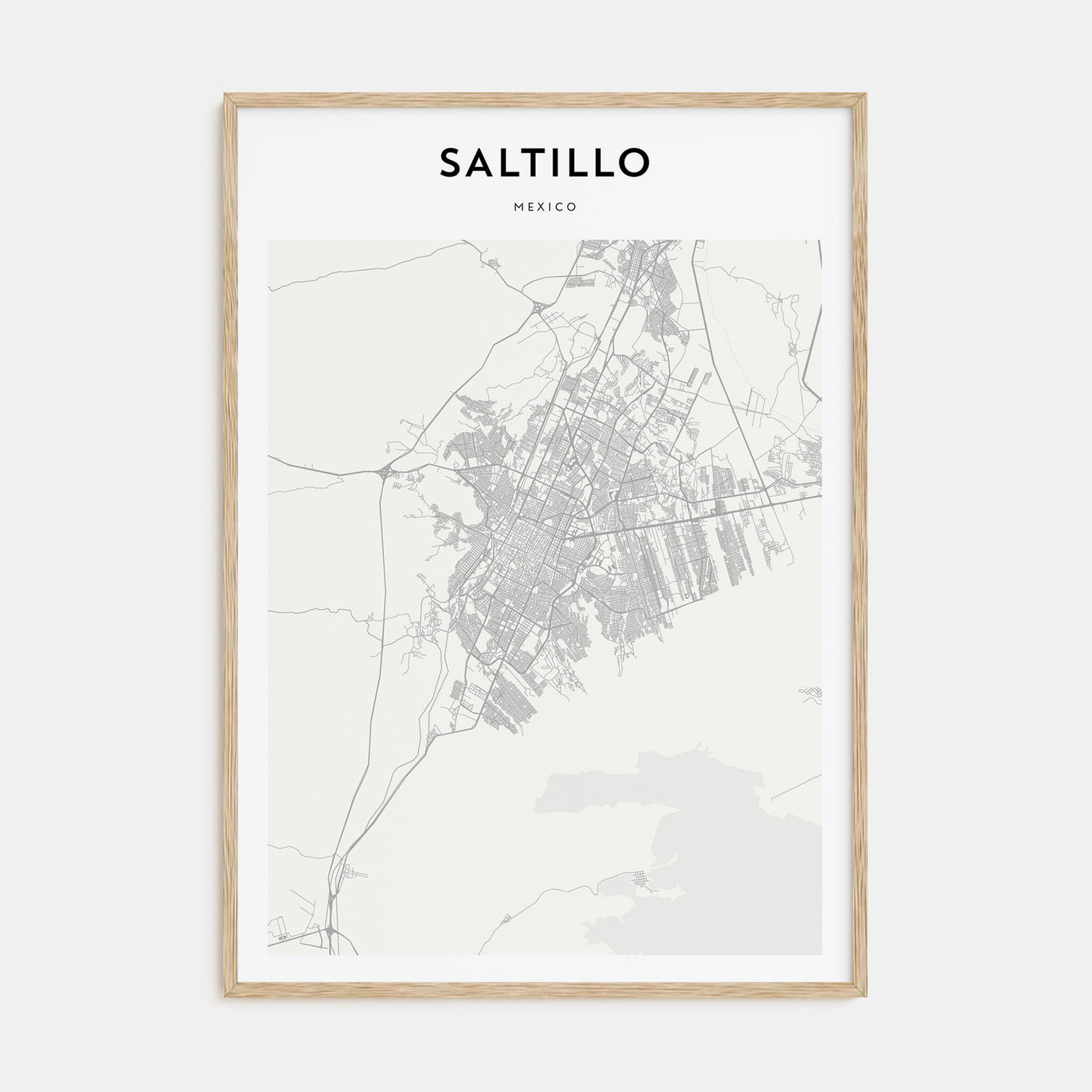 Saltillo Map Portrait Poster