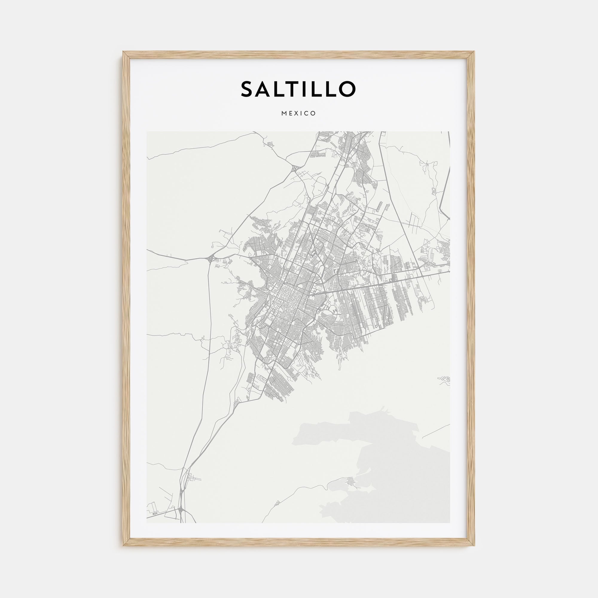 Saltillo Map Portrait Poster