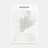 Saltillo Map Portrait Poster