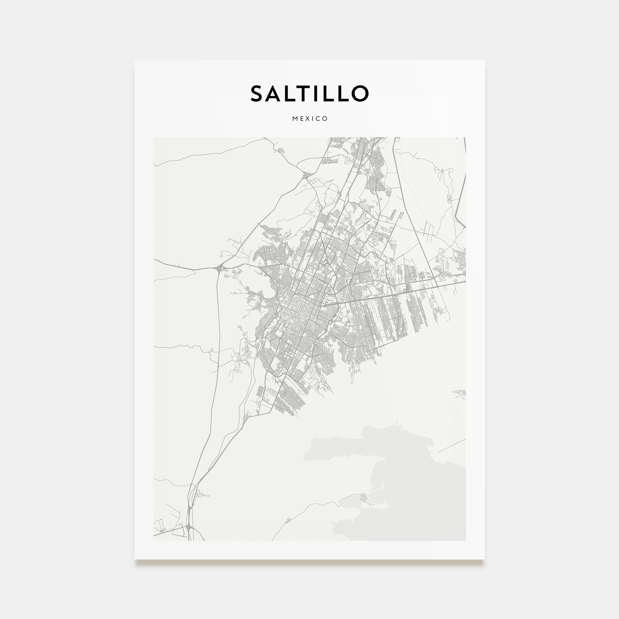 Saltillo Map Portrait Poster