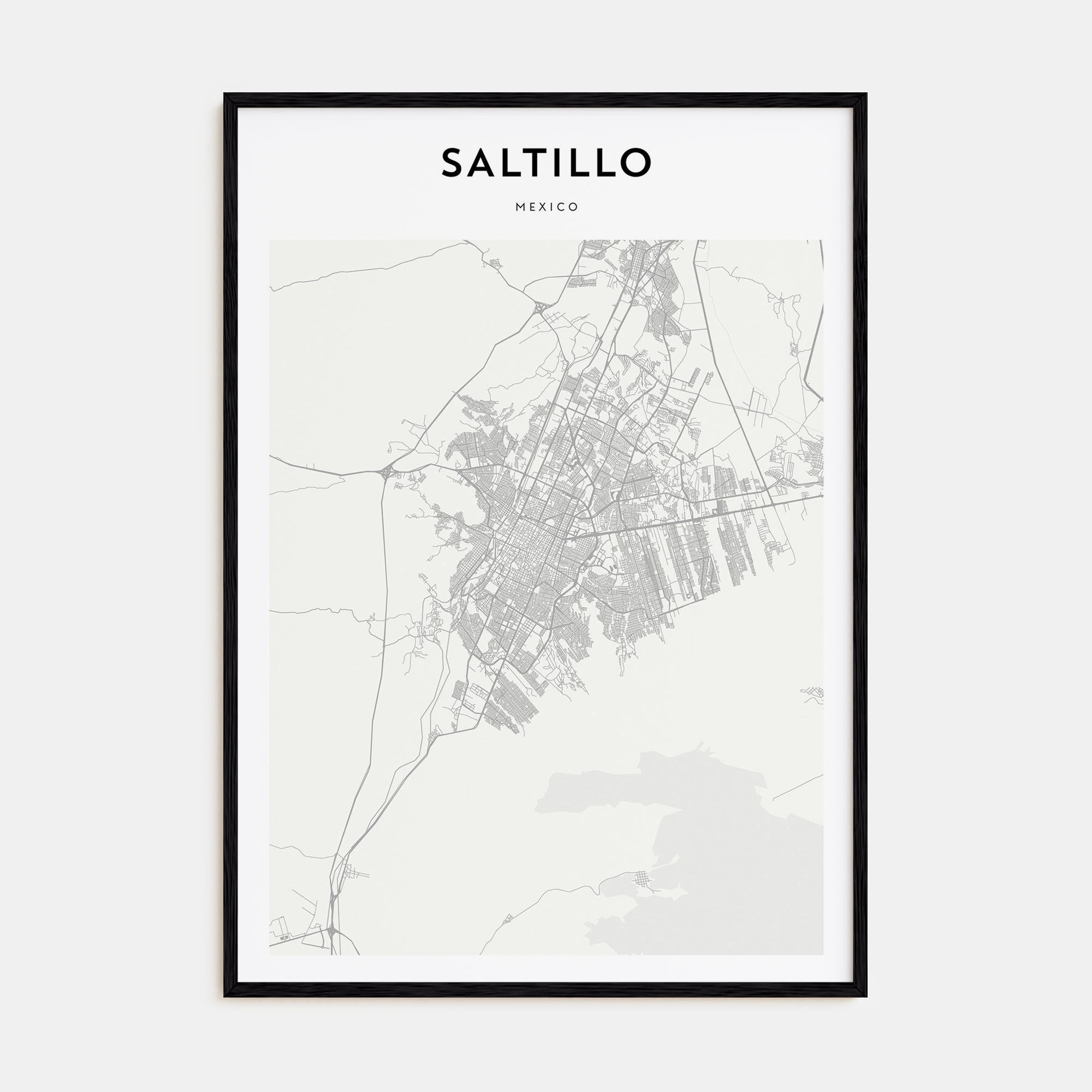 Saltillo Map Portrait Poster