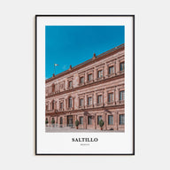 Saltillo Portrait Color Poster
