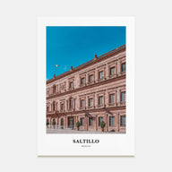 Saltillo Portrait Color Poster