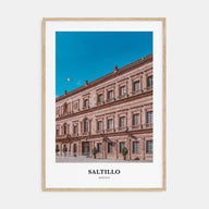 Saltillo Portrait Color Poster