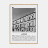 Saltillo Travel B&W Poster