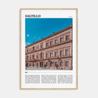 Saltillo Travel Color Poster