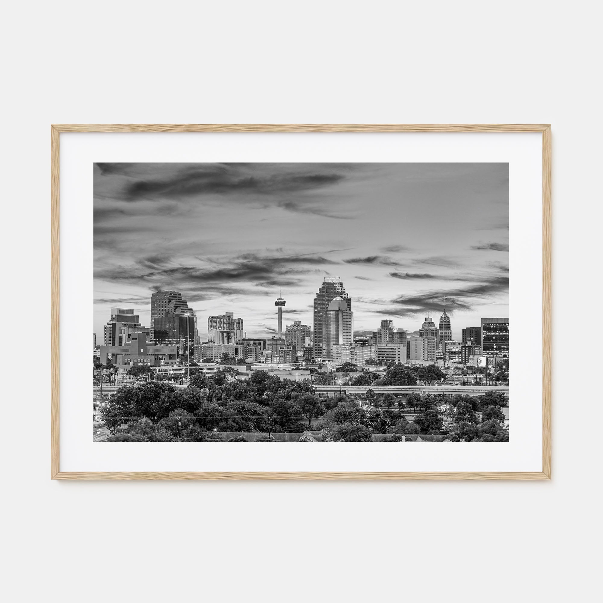 San Antonio Landscape B&W Poster