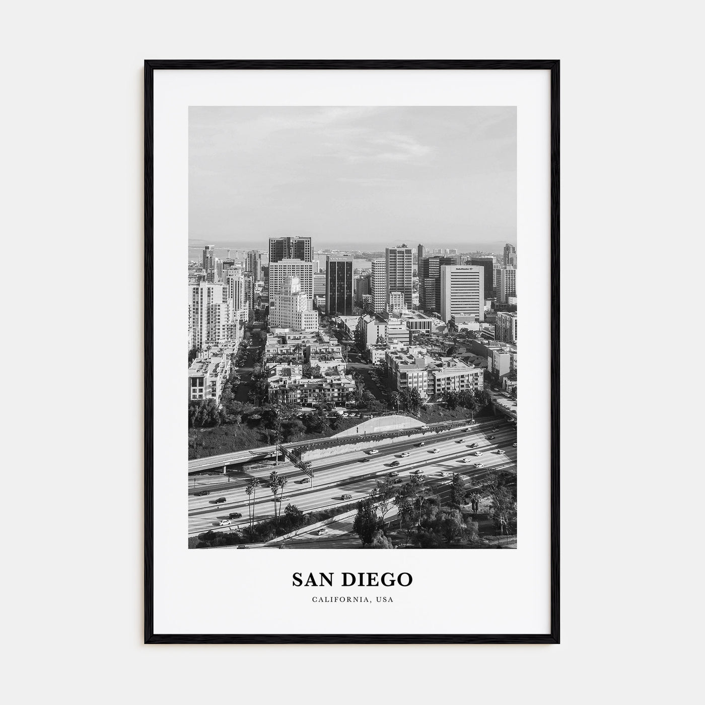 San Diego Portrait B&W No 2 Poster