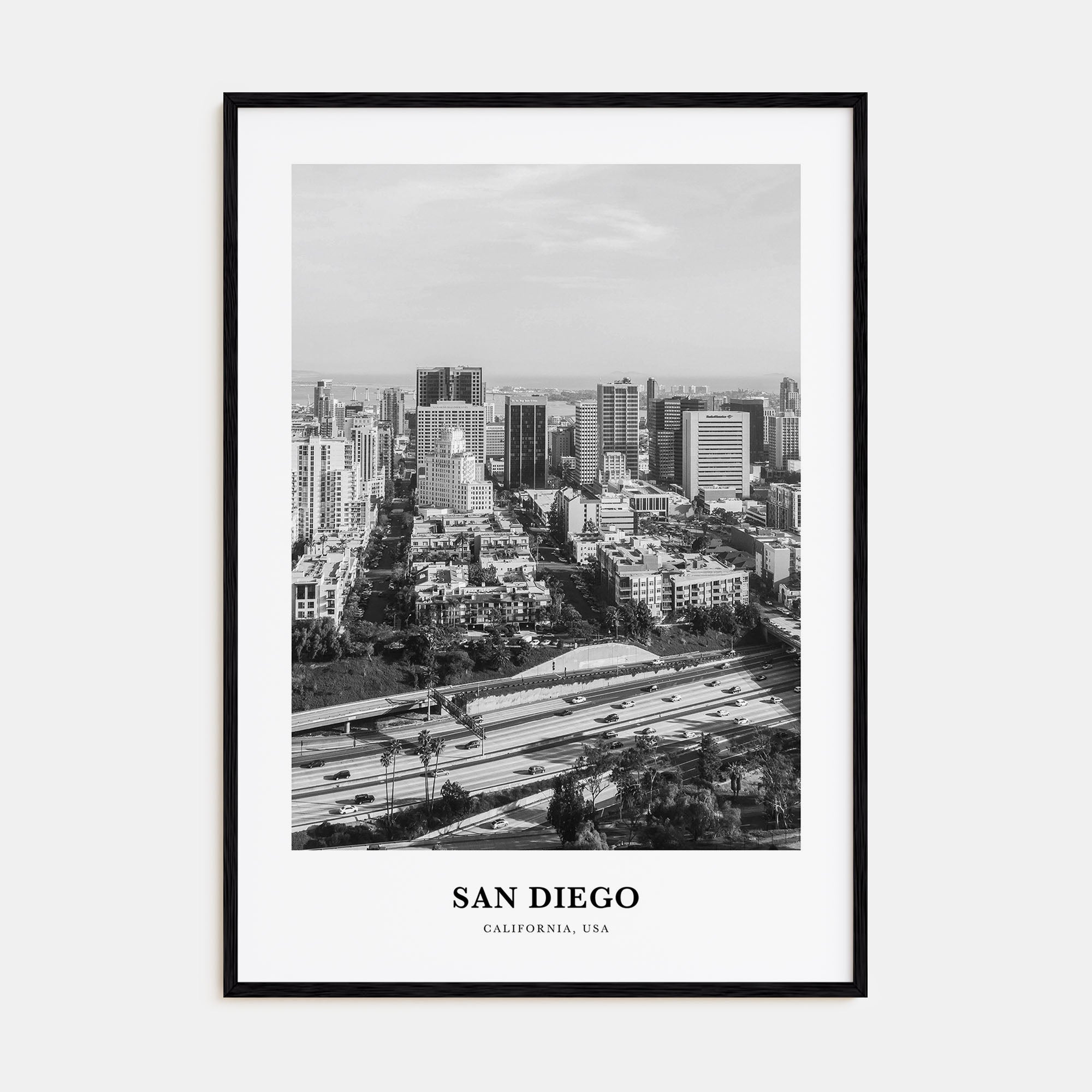 San Diego Portrait B&W No 2 Poster