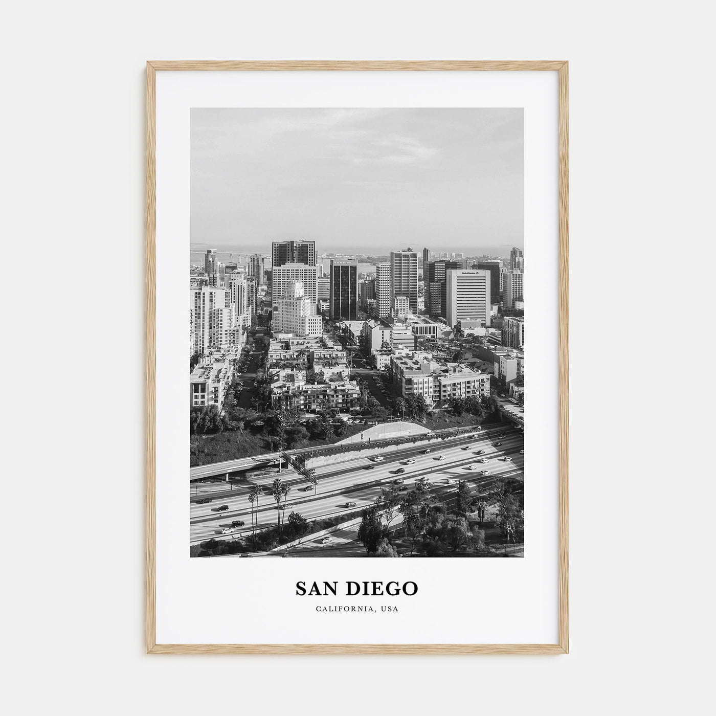 San Diego Portrait B&W No 2 Poster