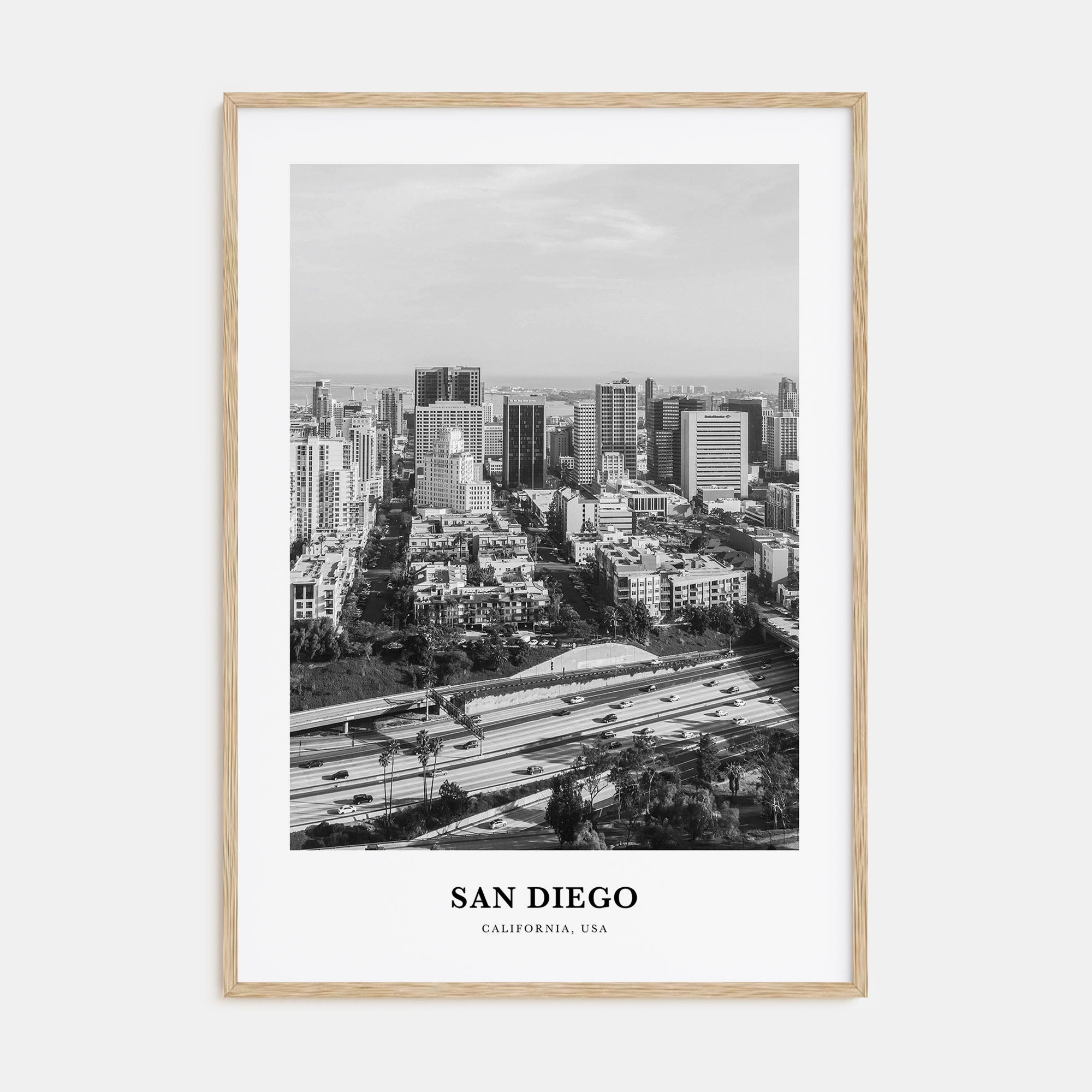 San Diego Portrait B&W No 2 Poster
