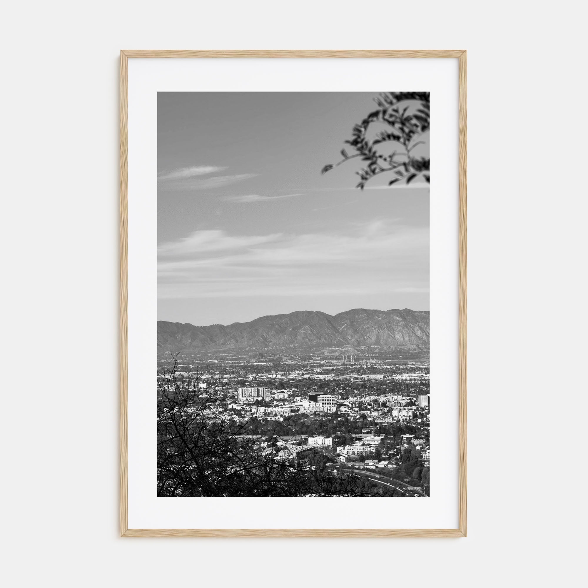 San Fernando Valley Photo B&W Poster