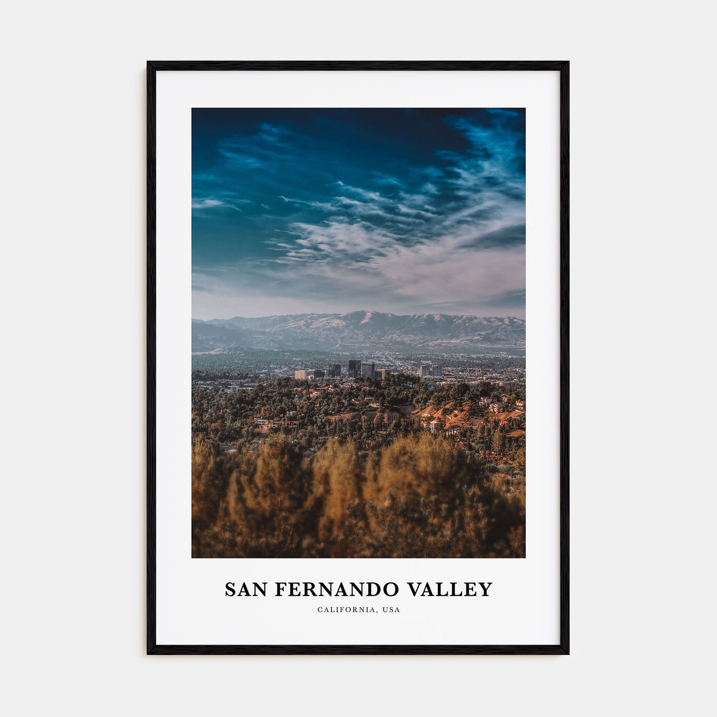 San Fernando Valley Portrait Color No 3 Poster