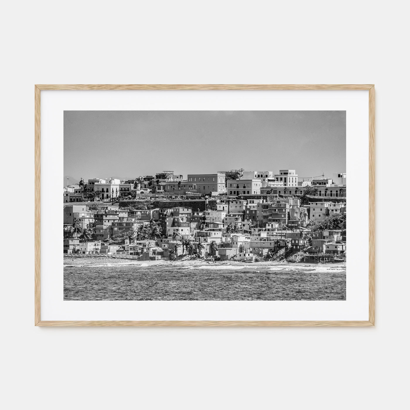San Juan Landscape B&W Poster