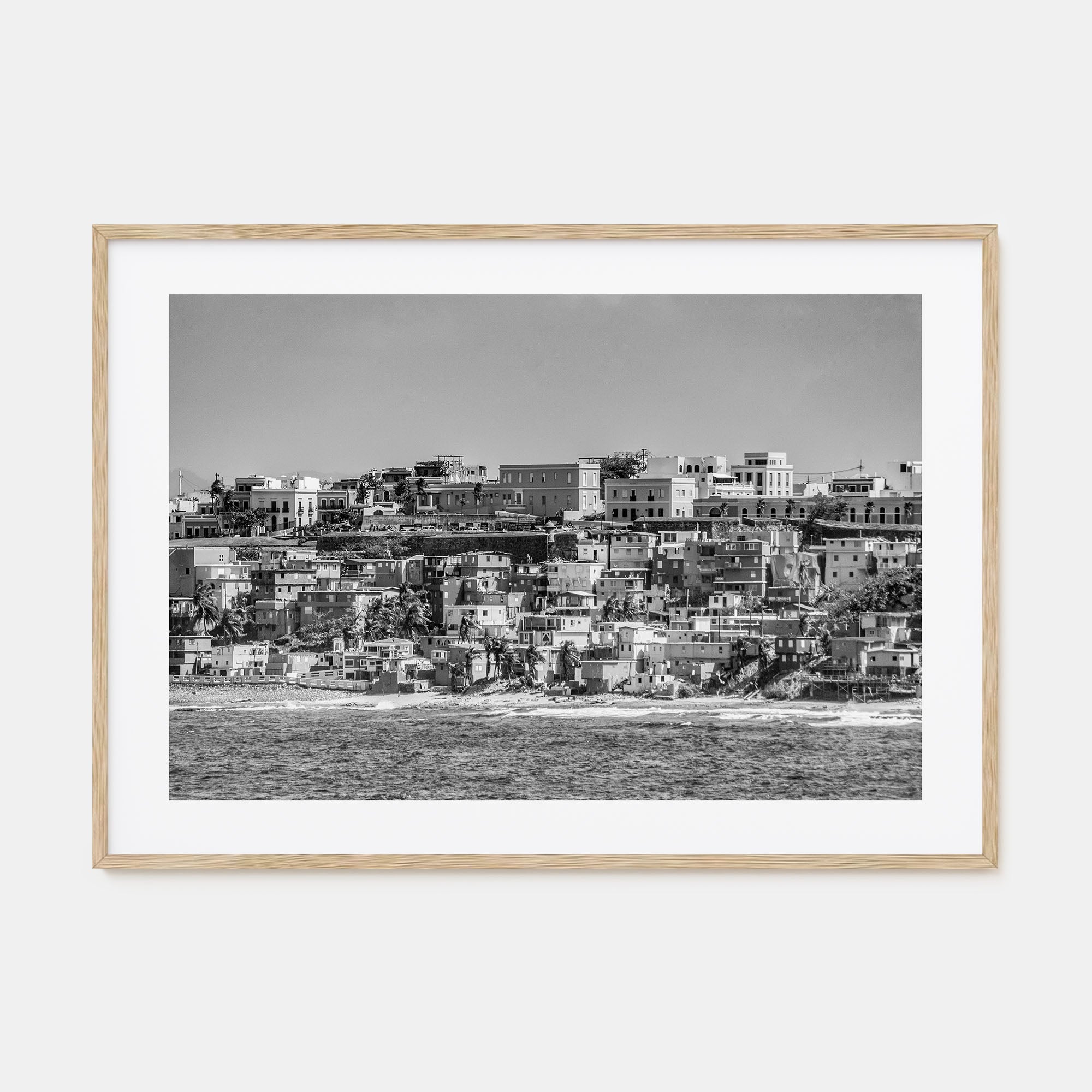 San Juan Landscape B&W Poster