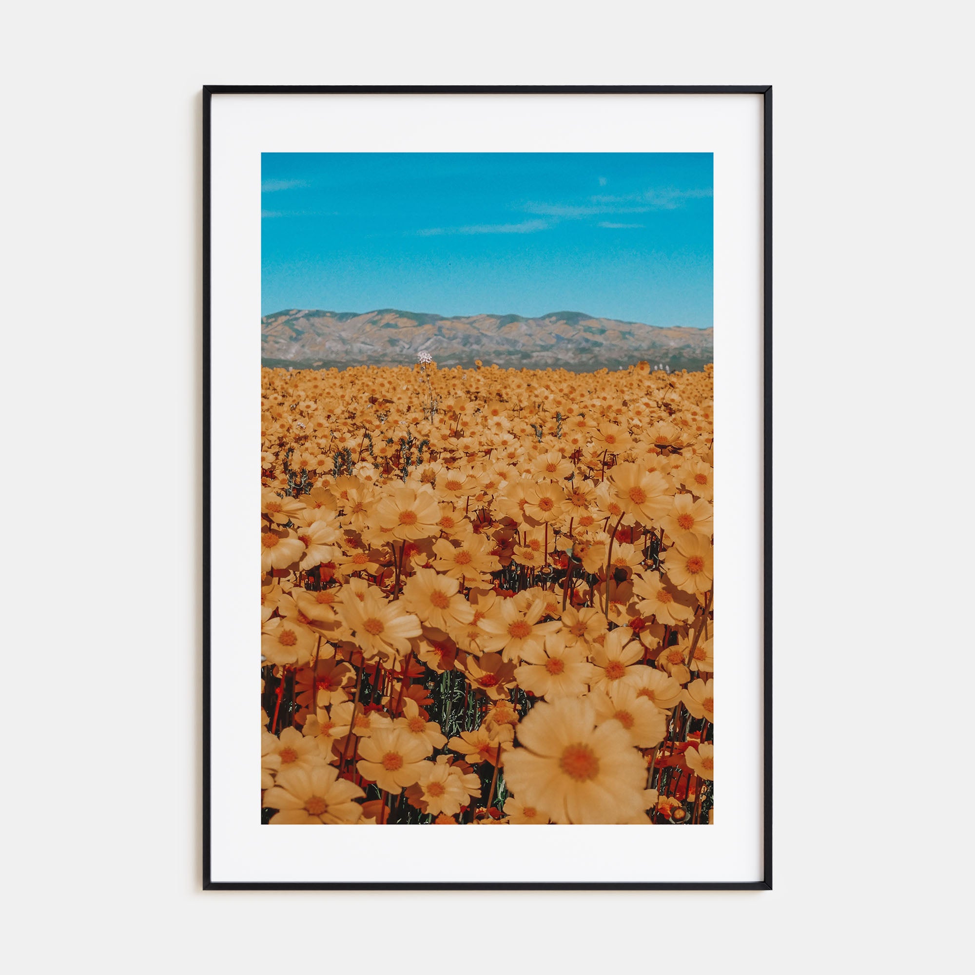 San Luis Obispo Photo Color No 2 Poster
