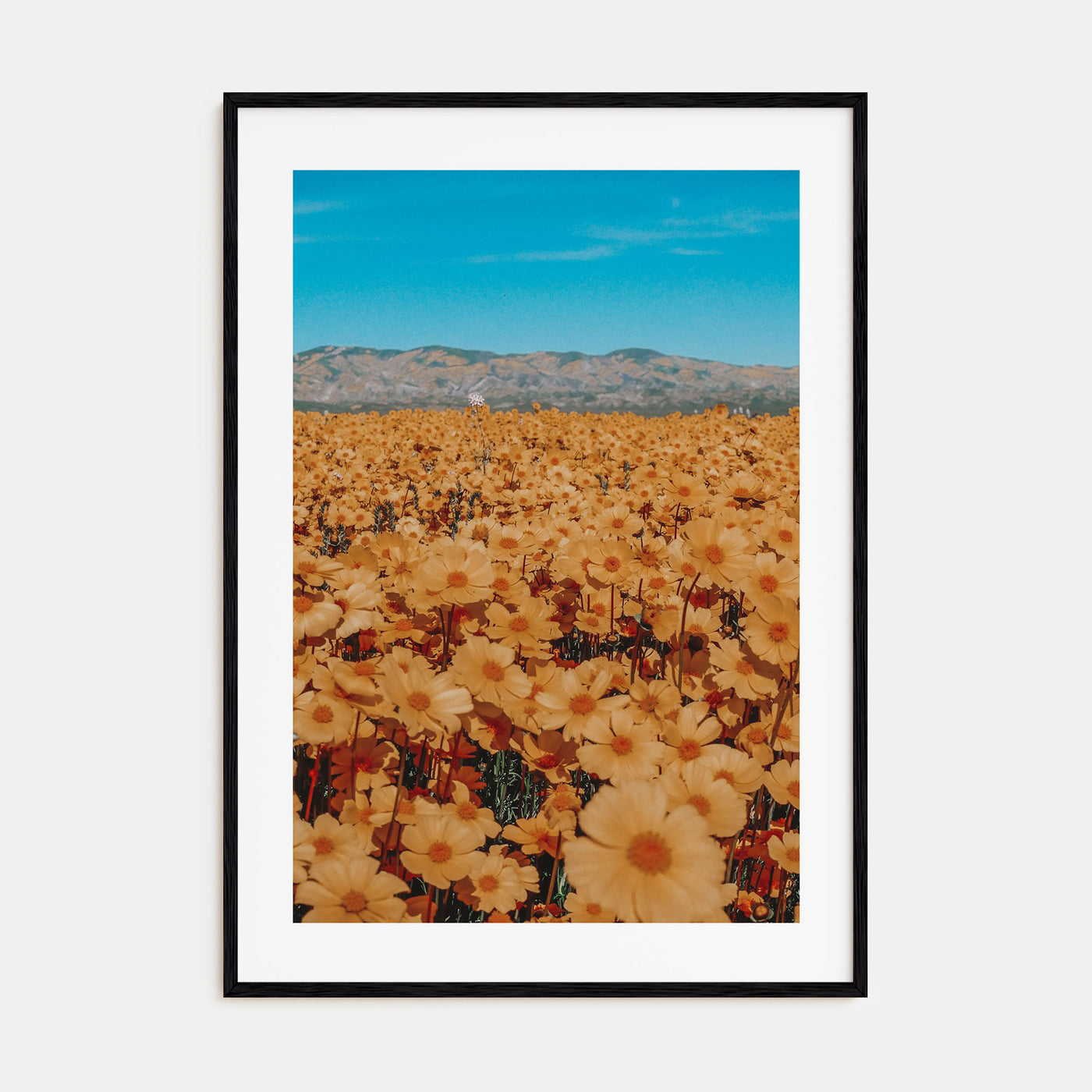 San Luis Obispo Photo Color No 2 Poster