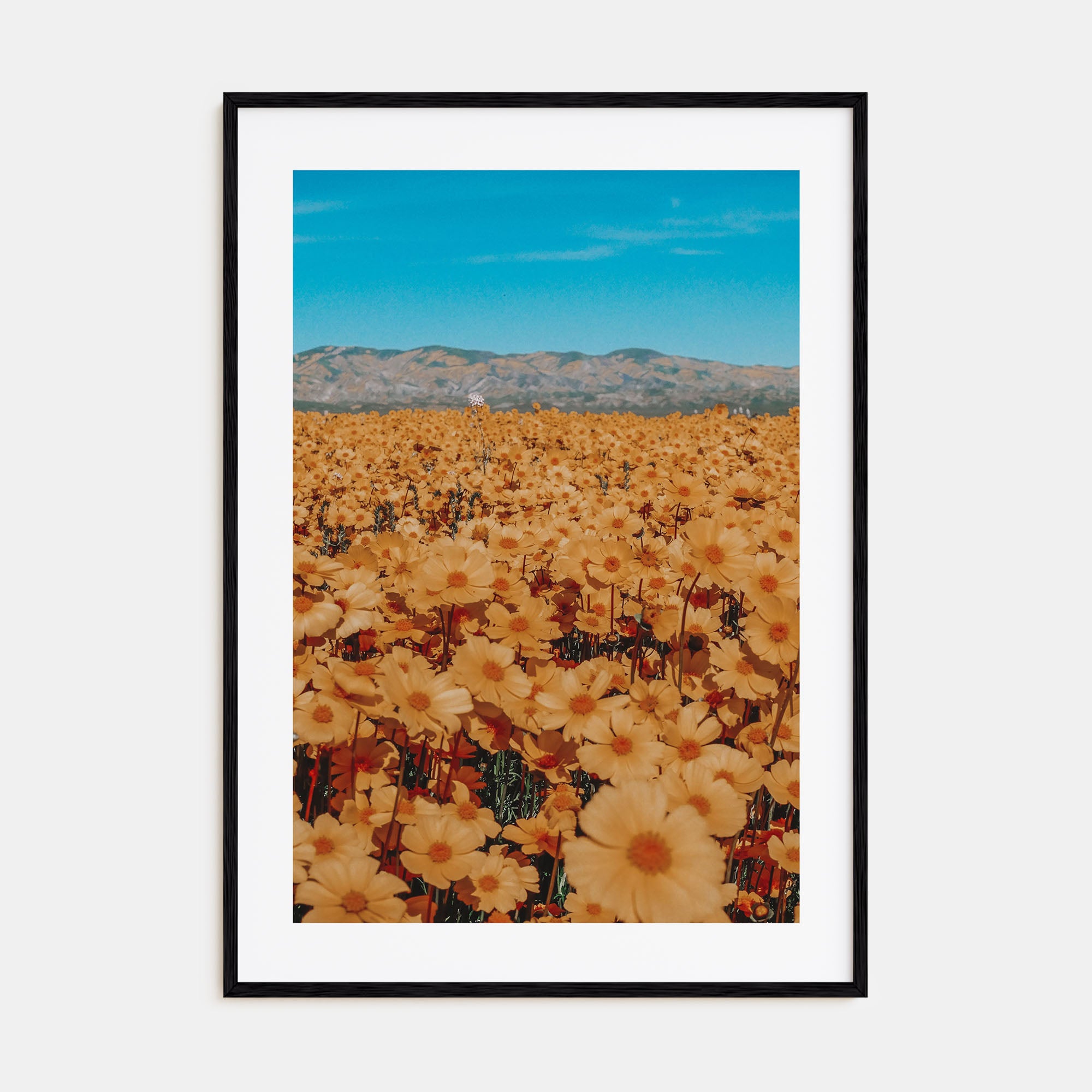 San Luis Obispo Photo Color No 2 Poster