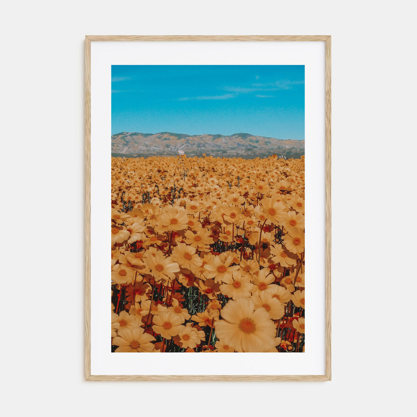 San Luis Obispo Photo Color No 2 Poster