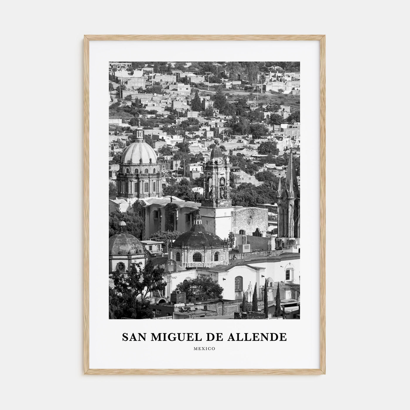 San Miguel de Allende Portrait B&W Poster
