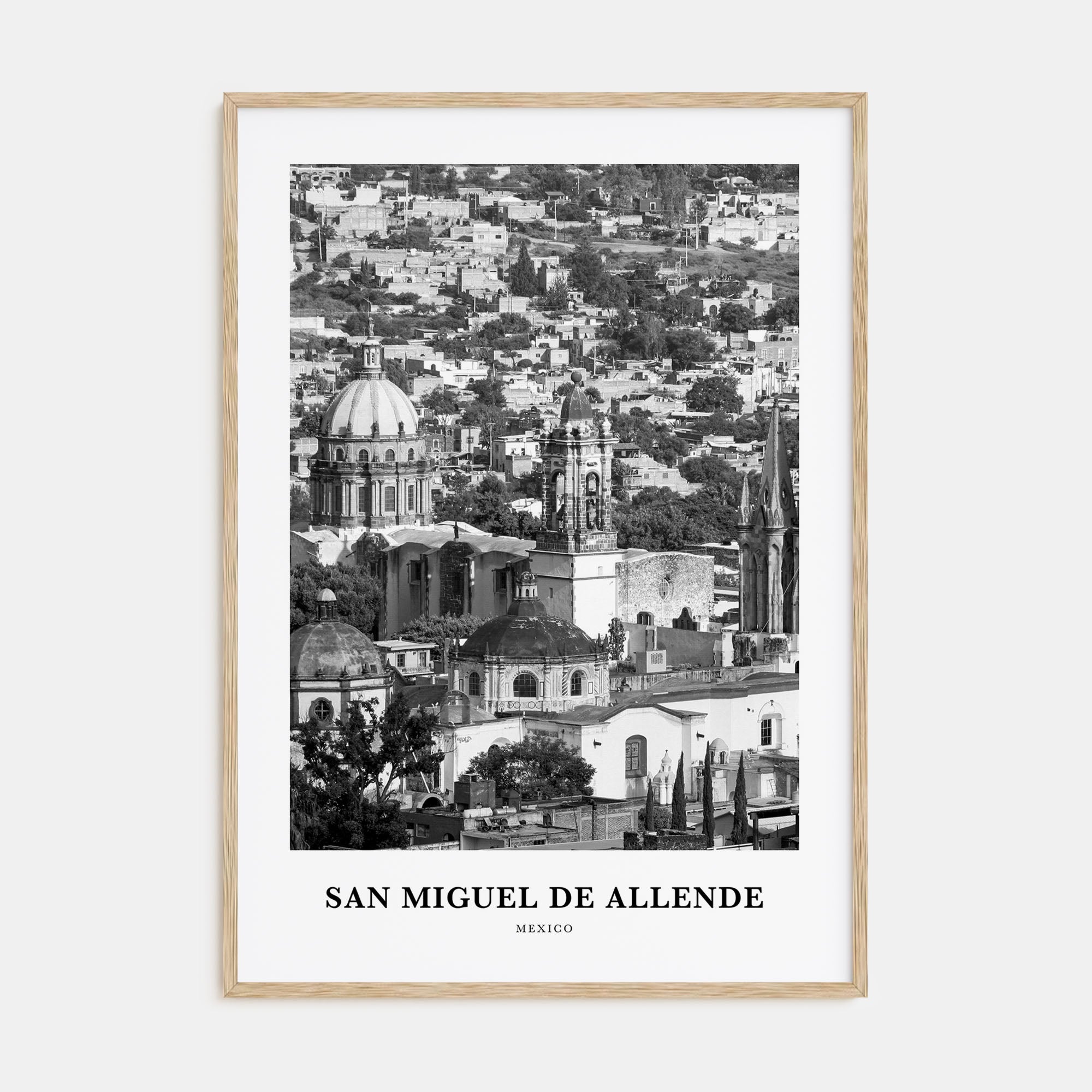 San Miguel de Allende Portrait B&W Poster