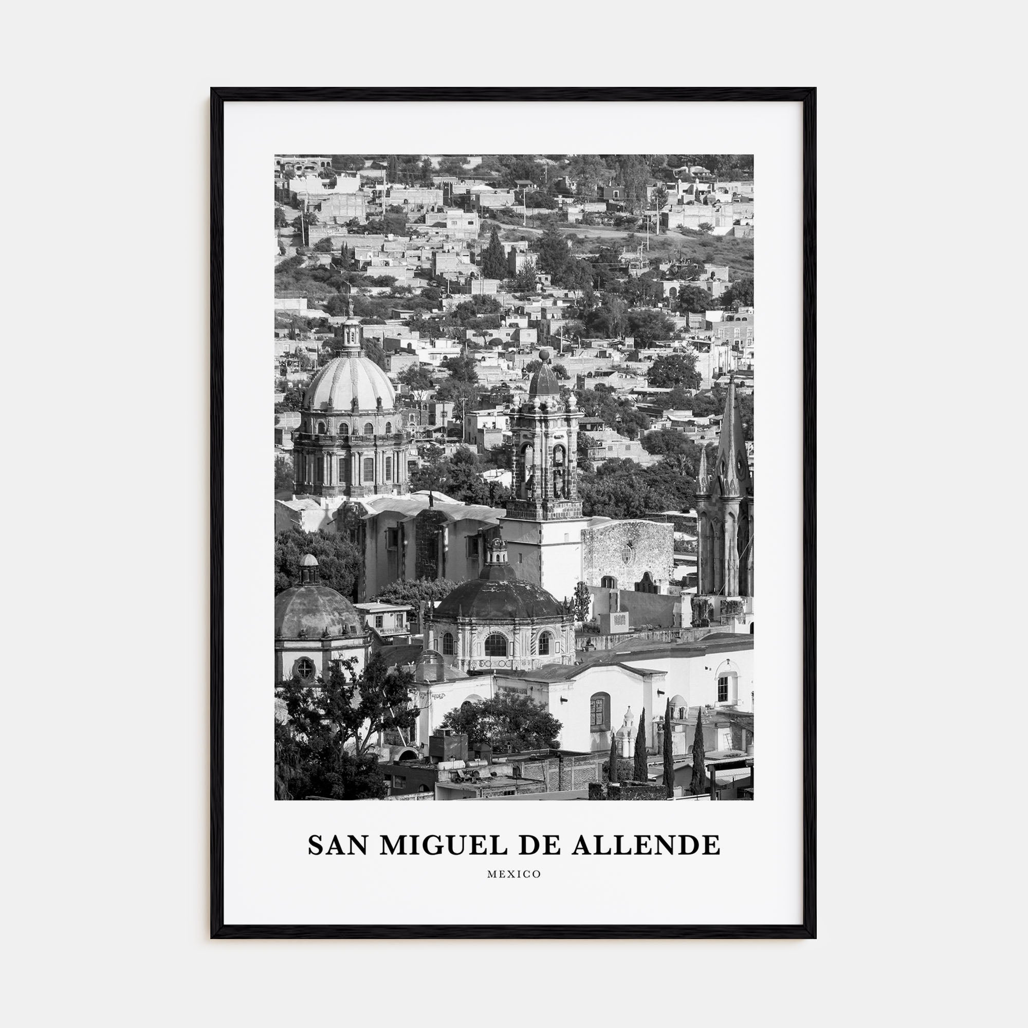 San Miguel de Allende Portrait B&W Poster