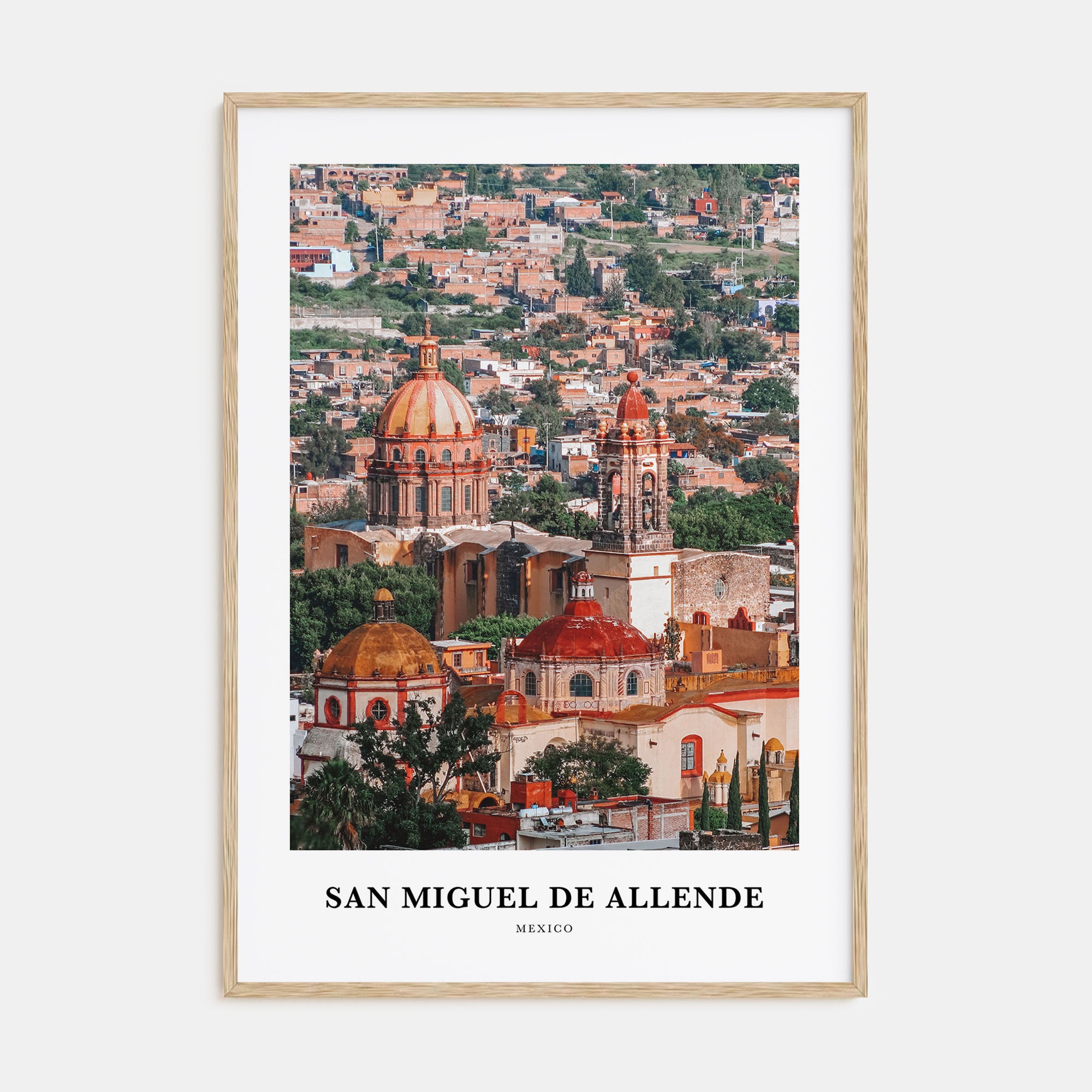 San Miguel de Allende Portrait Color Poster