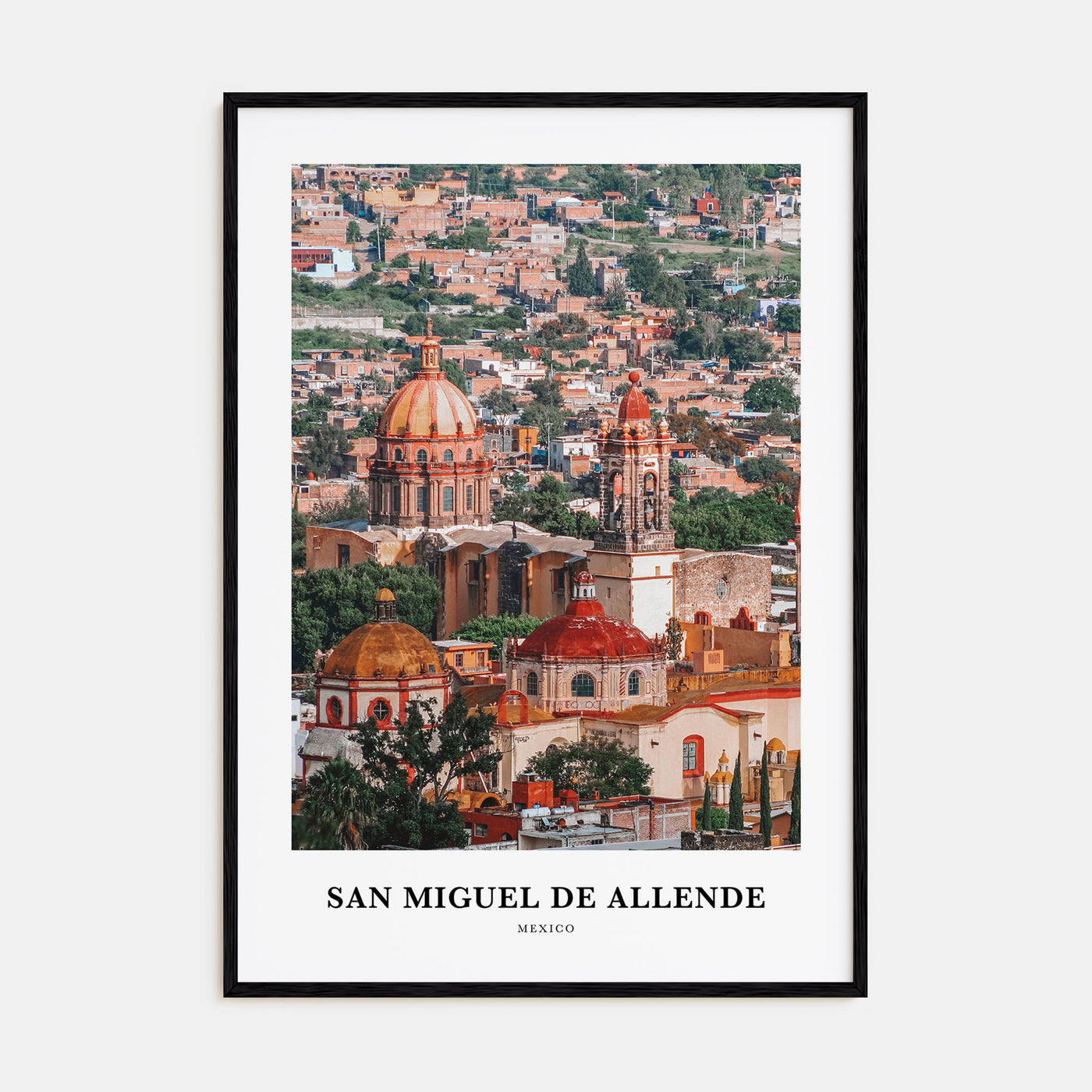 San Miguel de Allende Portrait Color Poster